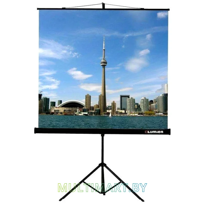 Проекционный экран Lumien Eco View (LEV-100105)